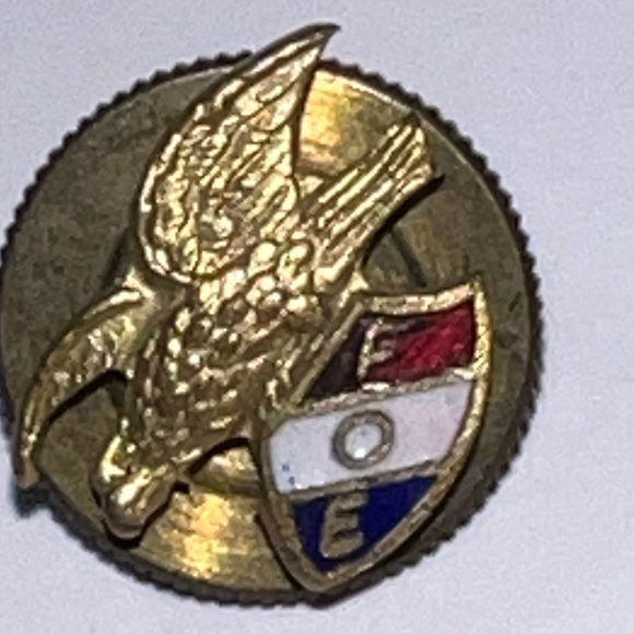 EAGLE FOE fraternal  order of eagles shield enamel lapel pin vintage screw back - Picture 6 of 9
